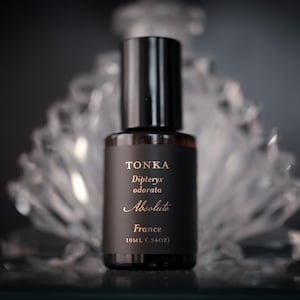 Einzelne Essenz von Tonka