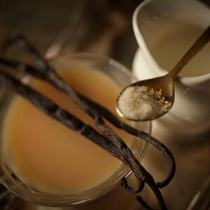 May include: A still life image featuring a clear glass bowl with a light orange liquid, likely a custard or sauce, and several dark brown vanilla beans. A small white creamer pitcher and a gold spoon with sugar complete the composition.