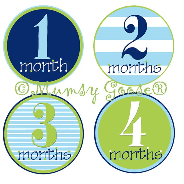 Baby Boy Stickers Baby Months Stickers Boy Month Milestone Stickers  Blue Green Nautical Boy Age Stickers Great Newborn Photo Prop