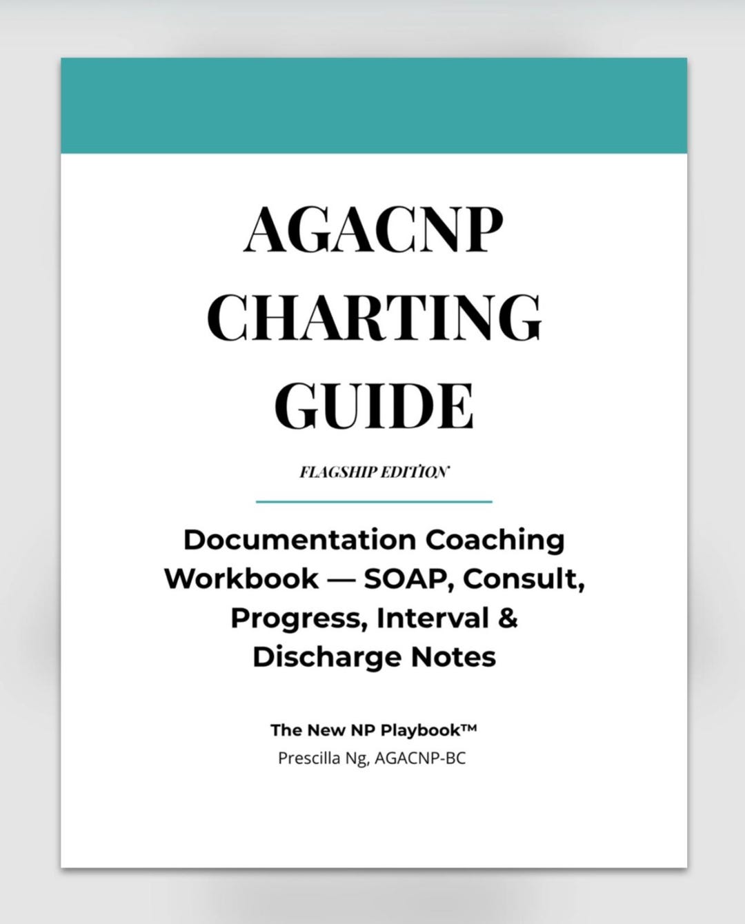 AGACNP Charting Guide: NP Documentation Templates (digital PDF) - Etsy