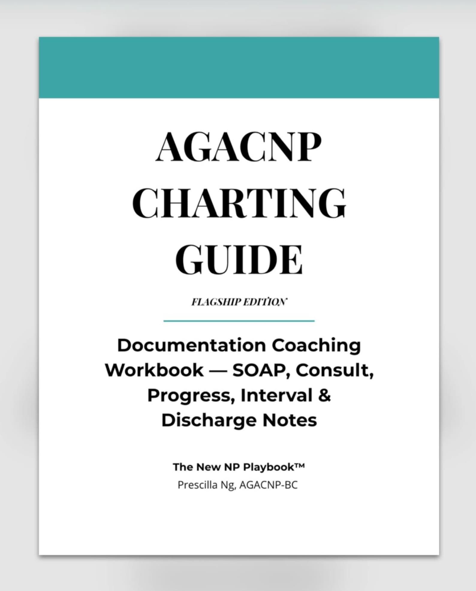 AGACNP Charting Guide: NP Documentation Templates (digital PDF) - Etsy