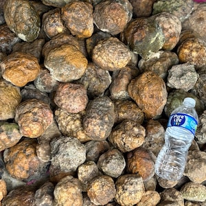 Unopened Geode Lot, Mixed Variety of Rattlers & Lapidary Nodules, Break Your Own Quartz Crystal Geodes 5/10/15lb lots