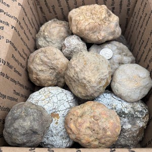 Geode Lot unopened Quartz crystal geodes & agate nodules mixed variety (free gift wrapping available) break your own / lapidary stones
