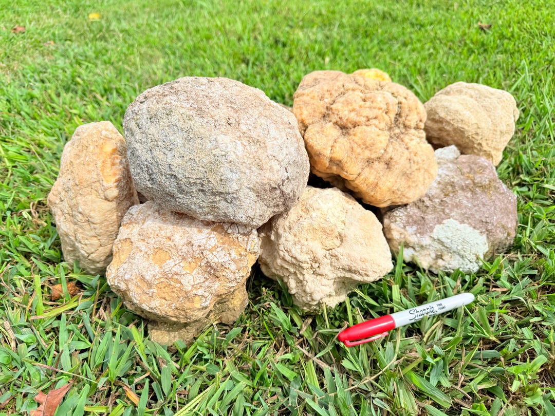 Quartz Rattler XL Geodes (6-10lb’s) Quartz Crystals- Natural/ Whole/ Unopened/ Break ...