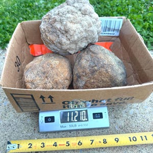 LARGE Geodes (3-5lbs Each) raw Quartz crystal\ unopened geodes\ Quartz crystal nodules\ break your own\ rocks & minerals 6-18lb bulk lots