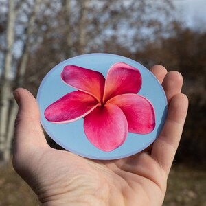 Plumeria Sticker, Hawaiian flower, weather proof, real photography