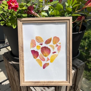 Póster de herbario de corazón de pétalos de rosa
