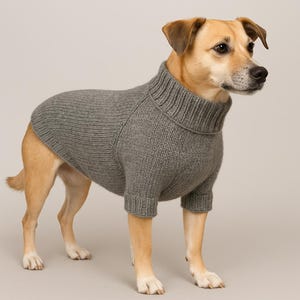 Könnte beinhalten: Ein hellbrauner und weißer Hund trägt einen grauen Strickpullover mit Rollkragen und gerippten Bündchen. Der Hund steht vor einem neutralen Hintergrund. Der Pullover scheint aus einem weichen, warmen Material zu sein.