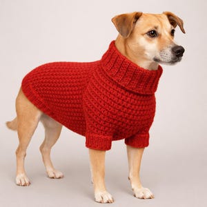 Mönster för virkad hundtröja i PDF-format, tröja uppifrån och ner, raglanärm till husdjur (XS-XL)