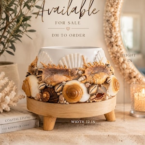 Handmade Coastal Seashell Planter Stand | Beach House Decor | Nautical Flower Pot Holder | Luxury Shell Centerpiece
