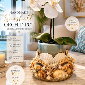 May include: A cylindrical orchid pot decorated with various natural seashells in shades of tan, brown, and white. The pot has a smooth, light blue-green upper rim and measures 10 inches in diameter and 8 inches in height, containing a white orchid.
