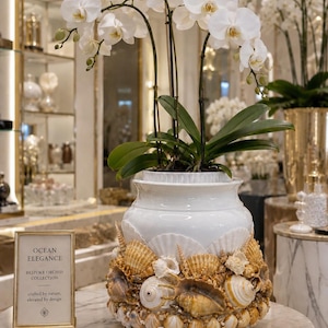 May include: A white ceramic vase adorned with seashells, holding white orchids. The vase is part of the "Ocean Elegance" Bespoke Orchid Collection. The orchids have green stems and leaves, with delicate white petals and yellow centers.
