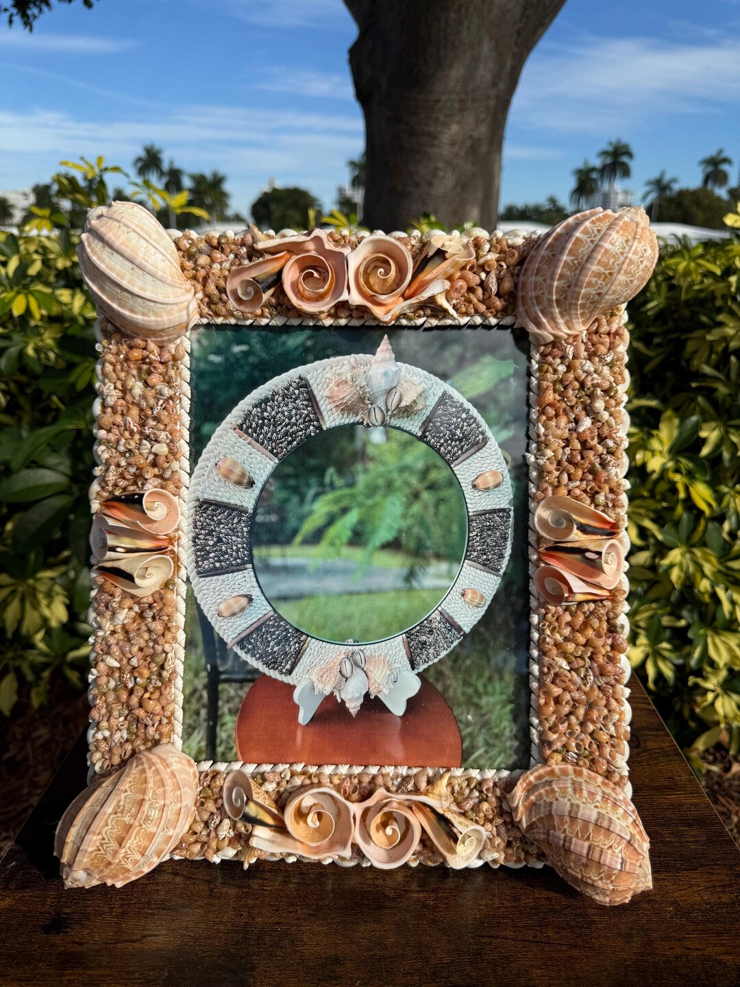 Gold Shell Picture Frame Sea Shell Picture Frame, Coastal Home Interior Decor. 10
