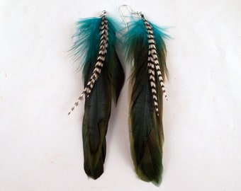 Raven Black Feather Earrings Teal Blue