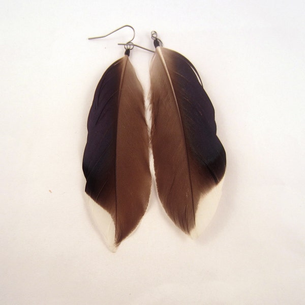 Feather Earrings Natural Mallard Native style Cruelty Free