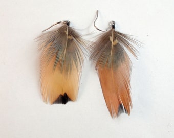 Feather Earrings Ring Neck natural Pheasant