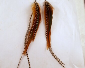 Grizly and furnace Feather Earrings natural