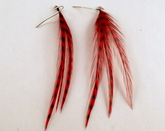 Red Grizzly Feather Earrings