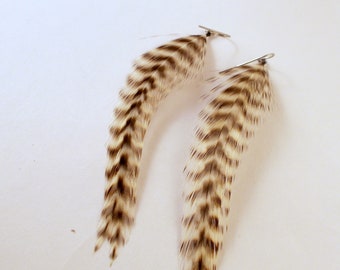 Tiger stripe dangler feather earrings grizzly