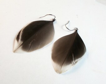 Cruelty Free Feather Earrings Natural mallard duck