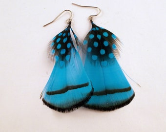 Feather Earrings blue with a touch of polka dots