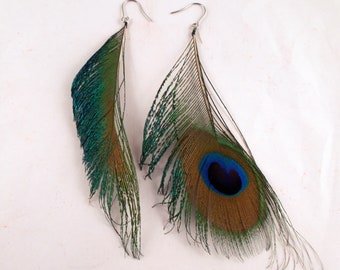 Real peacock Feather Earrings gold filled