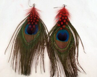 Real peacock Feather Earrings red polka dot