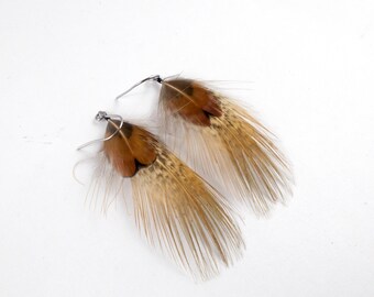 Feather Earrings Ring Neck Pheasant