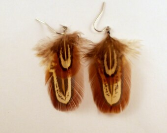 Feather Earrings Ring Neck natural Pheasant