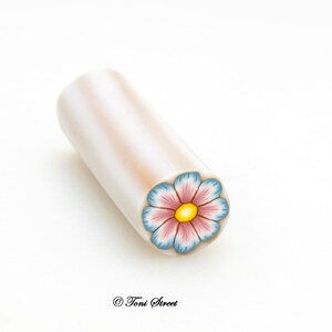 Blue and Pink Flower Polymer Clay Cane, Raw Polymer Clay Cane, Nail Art image 2