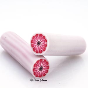 May include: Two white polymer clay canes with a red flower design cut in half. The canes are about 1 inch in diameter.