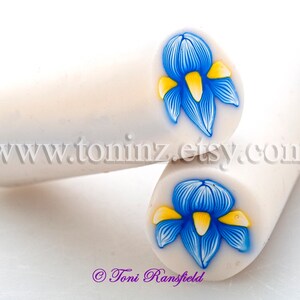 Blue Iris Flower Polymer Clay Cane, Raw Polymer Clay Cane, Nail Art