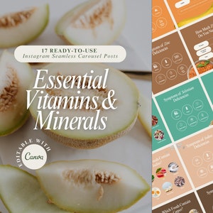 17 naadloze Instagram-carrouselsjablonen voor wellness- en voedingscoach: 119 posts bewerkbare canva-ontwerpen op essentiële vitaminen en mineralen
