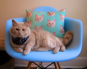 Custom Pet Portrait Pillow