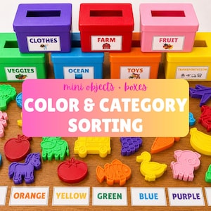 May include: A set of colorful plastic sorting boxes labeled with categories including clothes, farm, fruit, veggies, ocean, toys, and transportation, accompanied by various small plastic figures of animals, food, and objects, plus color labels.