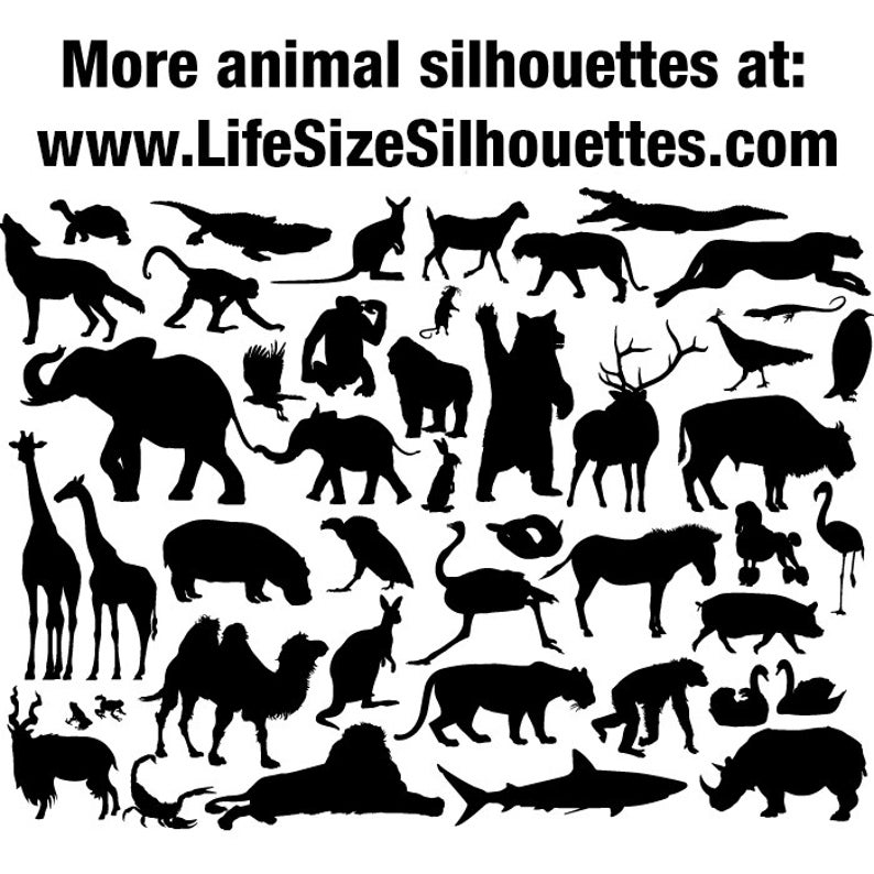 High Quality Detailed Wall Vinyl Silhouette Wall Decal 6 COW Vinyl Decal