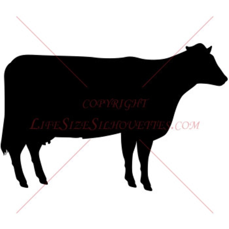 High Quality Detailed Wall Vinyl Silhouette Wall Decal 6 COW Vinyl Decal