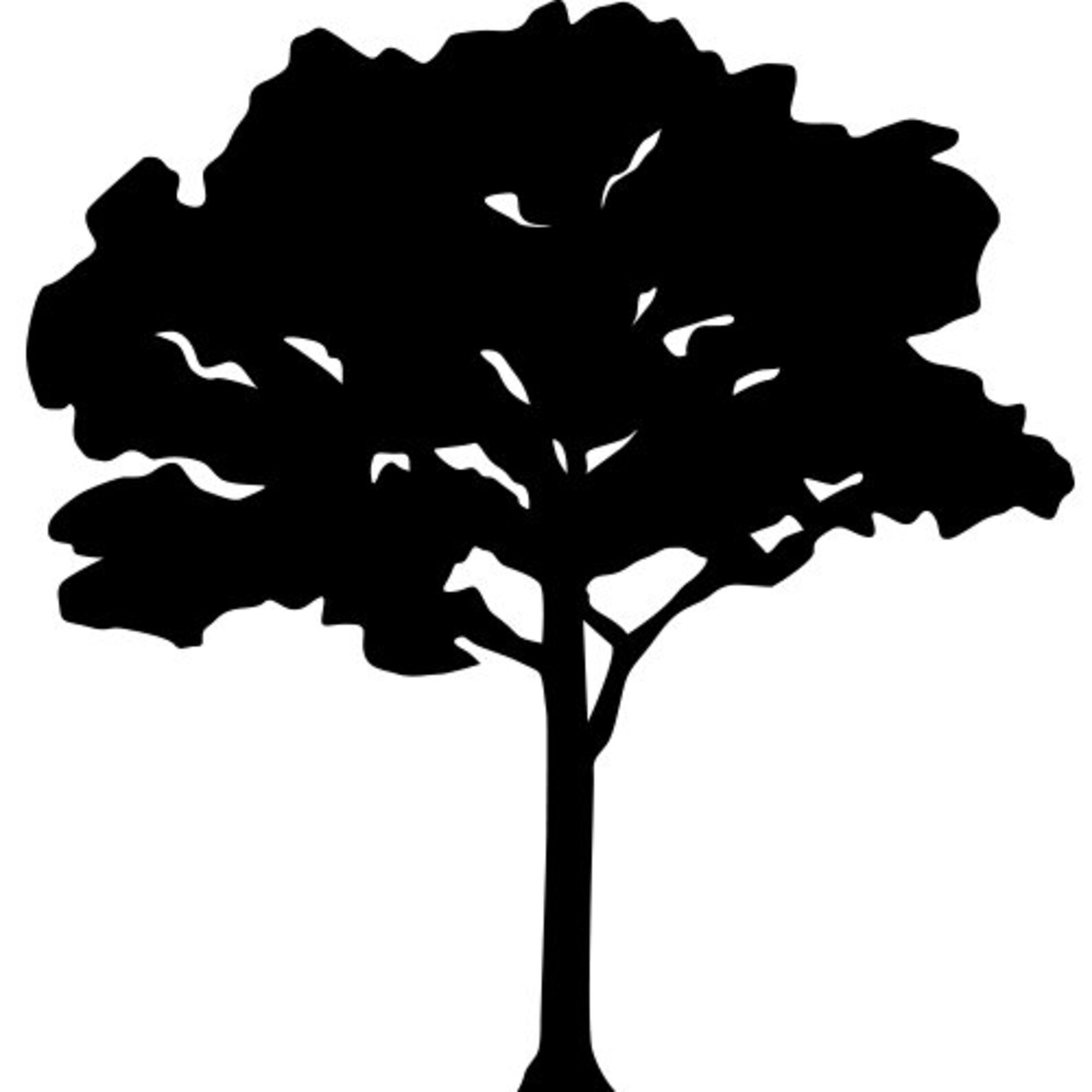 TREE Silhouette Decal 5 High QUALITY Vinyl Wall Silhouette Etsy