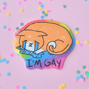 Sticker homo huilende kat