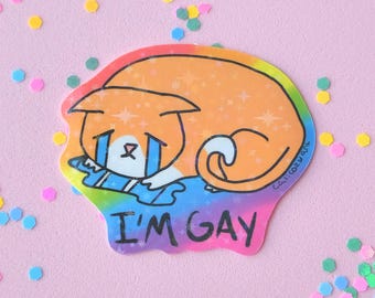 Gay Crying Cat Sticker