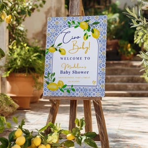 May include: A wooden easel displays a baby shower welcome sign. The sign features a blue and white tile pattern border, with lemons and greenery. Text includes "Ciao Baby!" and "Welcome to Madeline's Baby Shower."