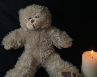 Haunted! Teddy with Positive Spirit - Marguerite