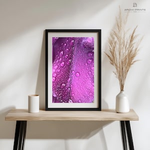 Purple Flower Petal Macro Print: Dewdrop Floral Close-Up (Digital Download)