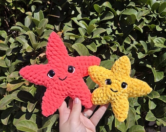 Crochet Starfish Plushie
