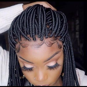 May include: A black braided wig with a lace front. The wig is styled in small, neat braids.