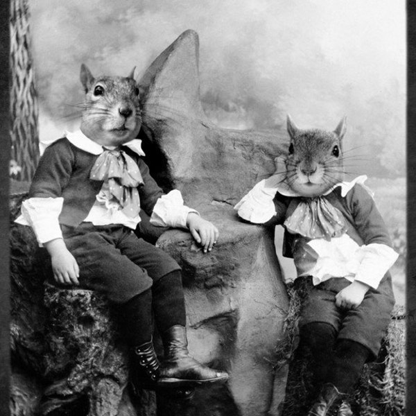 8x10 The Squirrelton Twins - Squirrrel Photographic Art Print