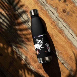 Stainless steel water bottle