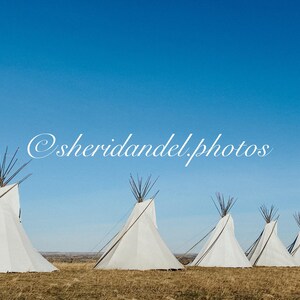 May include: A row of six white teepees stand against a bright blue sky. The teepees are all the same size and shape, and they are arranged in a line. The sky is clear and blue, and there are no clouds in the sky.