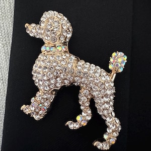 Lot De Broches Et épingles Anciennes : Caniche, écureuil Et Autres Motifs - Multicolore