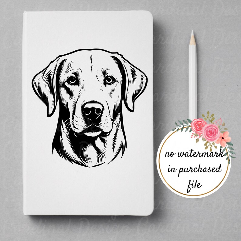 Labrador Head SVG and PNG Files for Sublimation, Cricut Laser Cutting ...